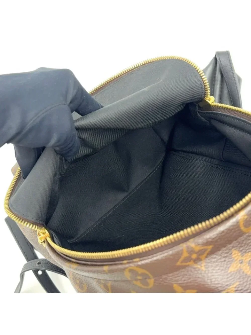 Louis Vuitton Palm Springs PM Monogram Leather